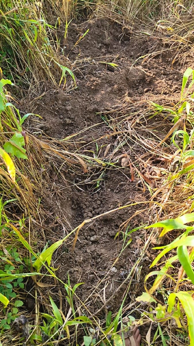જમીન વેચવાની - Land & Plots - Dwarka - Image 1