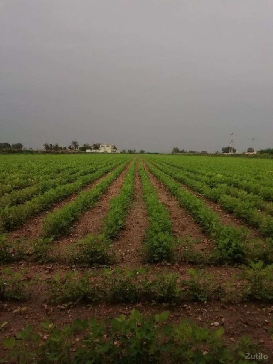Jamin vesvani se - Land & Plots - Patan City - Image 1