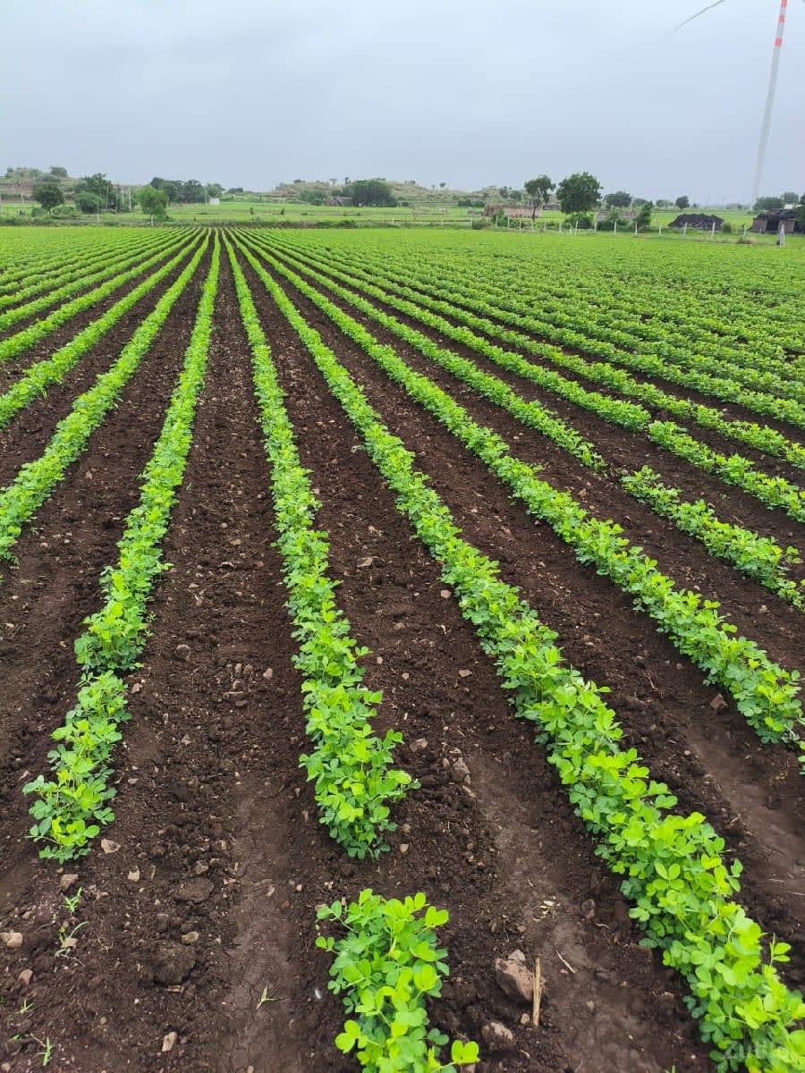 જમીન વેચવાની છે - Land & Plots - Gandhinagar City - Image 1
