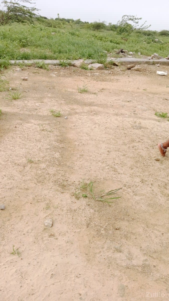 બુધાભા ફોન નંબર 9898245616 - Land & Plots - Dwarka - Image 1