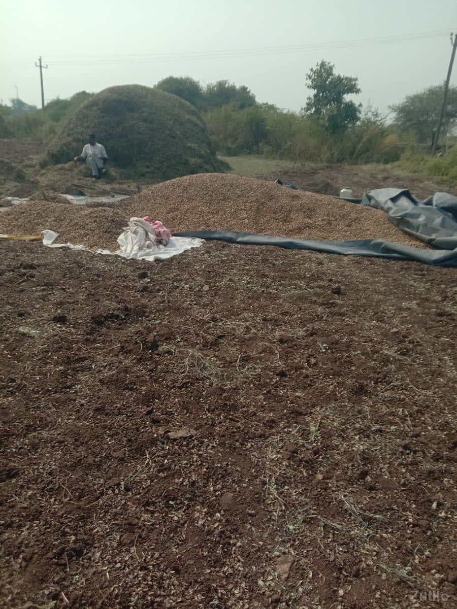 જમીન વેશવાની છે - Land & Plots - Jamjodhpur - Image 2