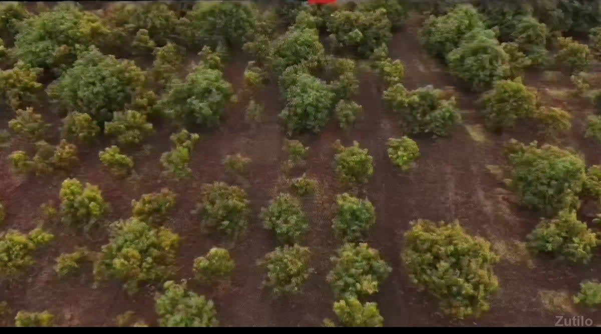 🔴 તાલાલા જમીન વેચવાની છે. - Land & Plots - Somnath - Image 3