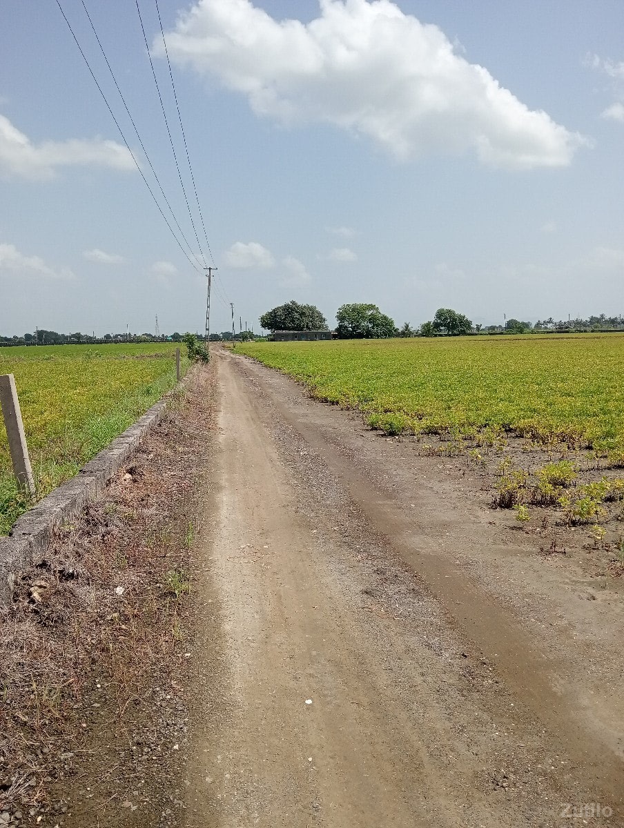વાડી વેચવાની છે - જમીન અને પ્લોટ - ભાણવ - Image 1