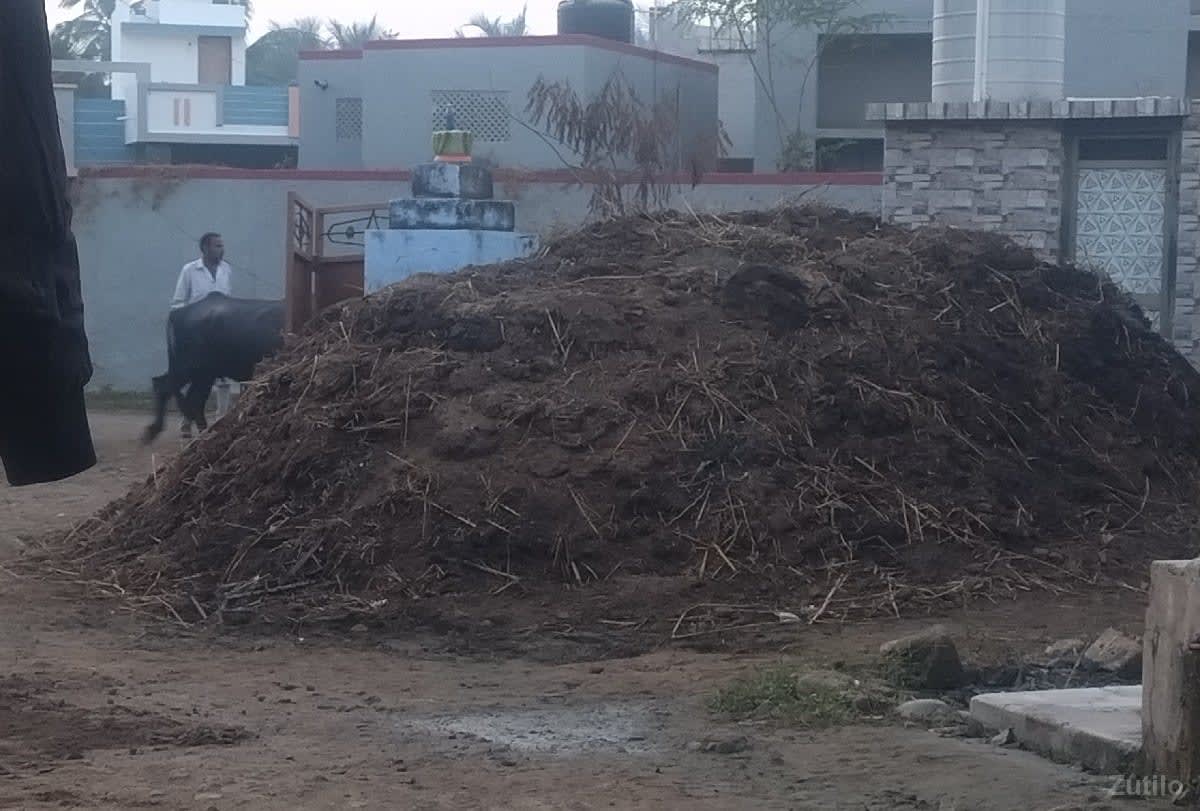 ઉકરડો વેચવો છે - Land & Plots - Somnath - Image 2