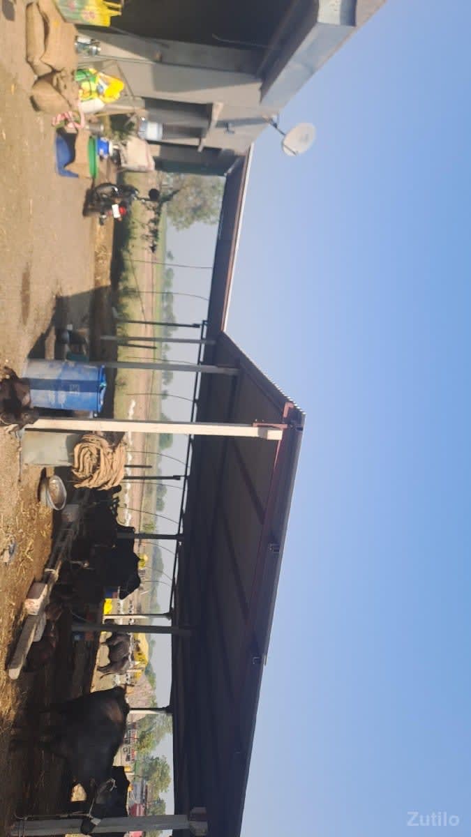 Jamin bhade aapvani che vadi - Land & Plots - Jamnagar City - Image 1