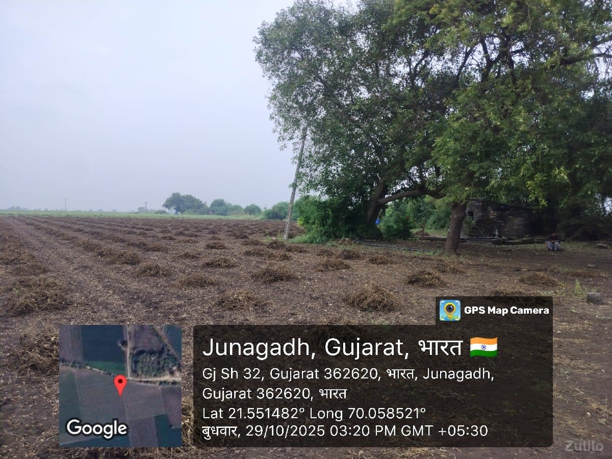 જમીન વેચવાની છે - Land & Plots - Manavadar - Image 1