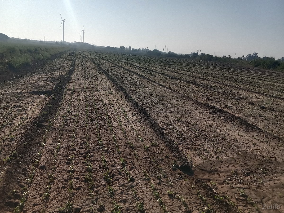 ૧૧૦૦૦૦૦ વીઘો કુલ ૨૨ વીઘા - Land & Plots - Bhanvad - Image 1