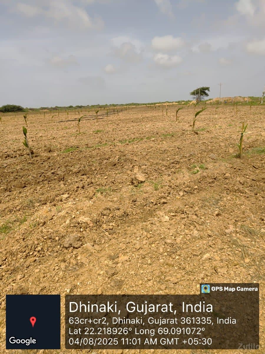 જમીન વેચવાની છે - જમીન અને પ્લોટ - ભાણવ - Image 2