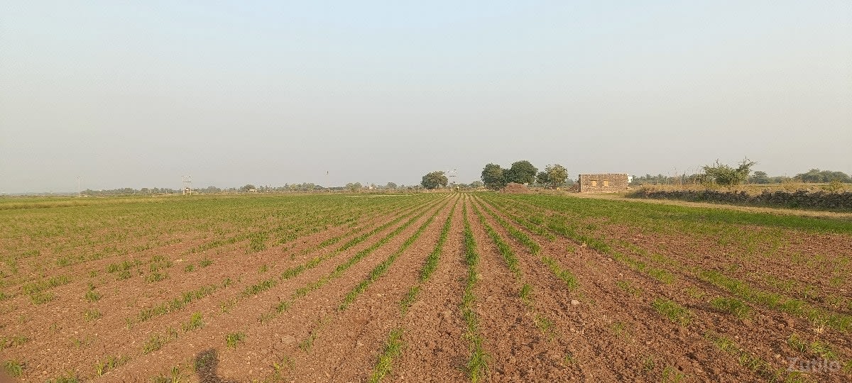 જમીન વેસવા ની છે - જમીન અને પ્લોટ - રણાવાવ - Image 1