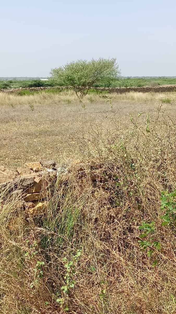 જમીન વેચવાની છે - Land & Plots - Dwarka - Image 1
