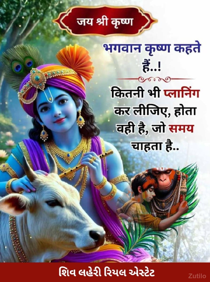 *જમીન લે વેચ માટે સંપર્ક કરો - જમીન અને પ્લોટ - જામજોધપુર - Image 1