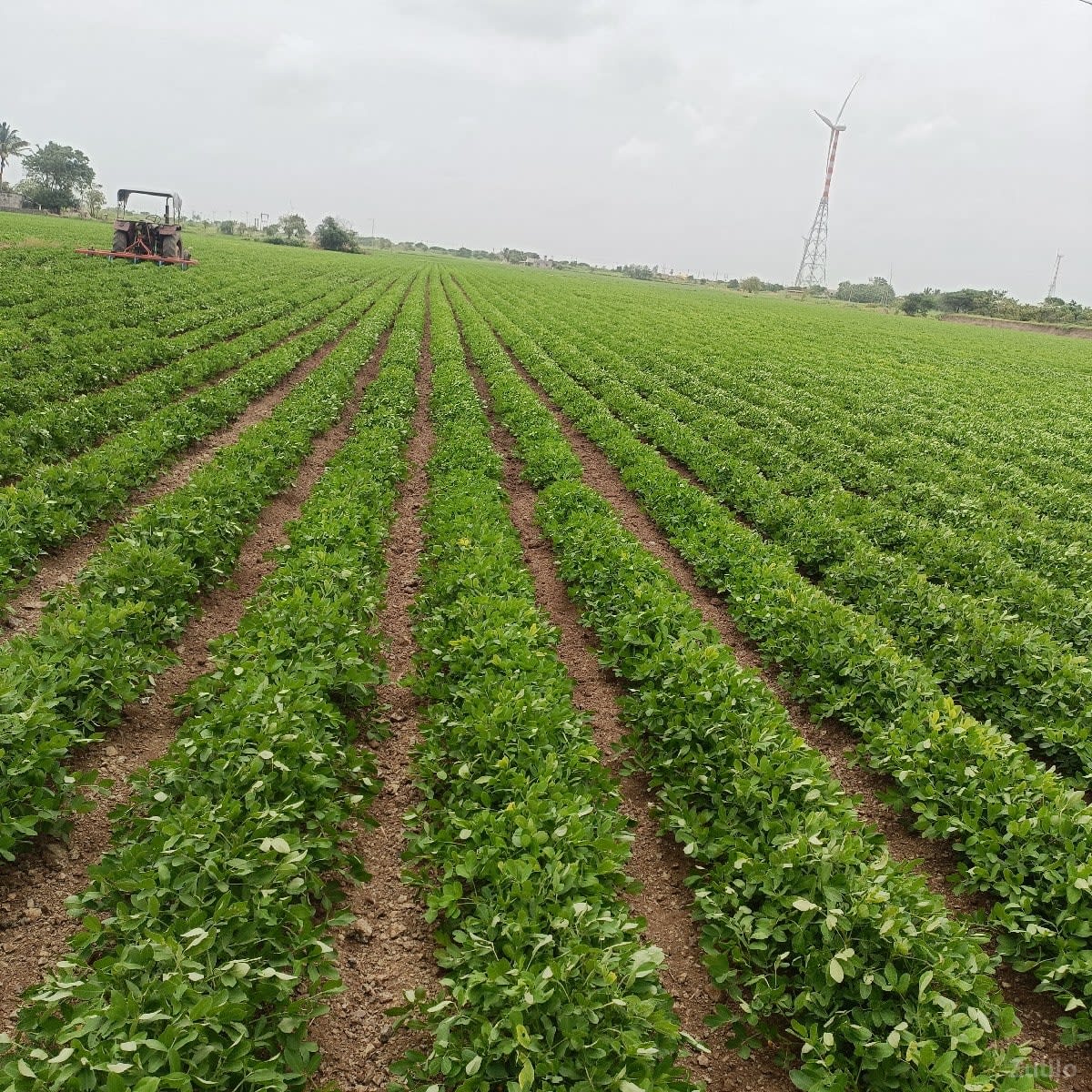 jamin vechavani se - Land & Plots - Dwarka - Image 3