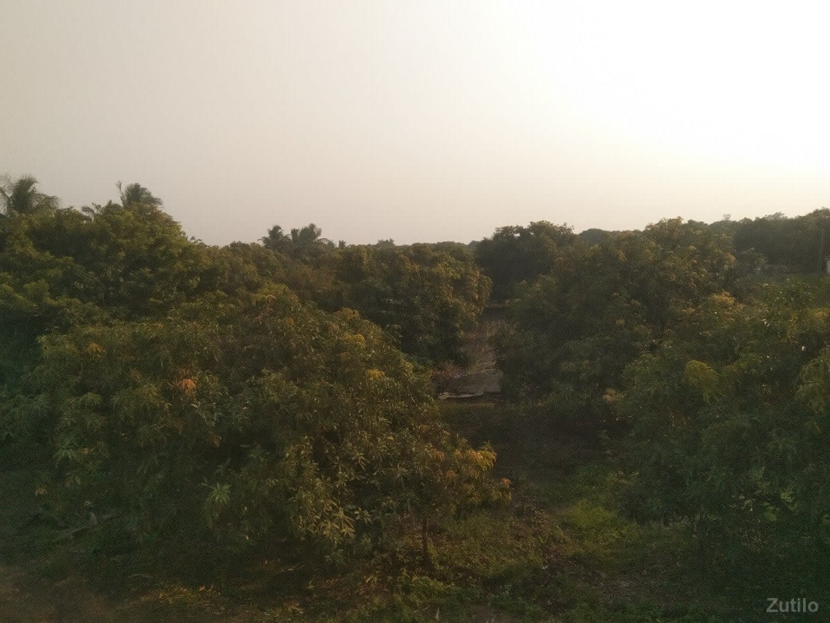 જમીન વેચવાની છે - જમીન અને પ્લોટ - સોમનાથ - Image 1