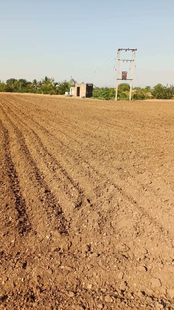 જમીન વેચવાની છે - જમીન અને પ્લોટ - કુટિયાણા - Image 2
