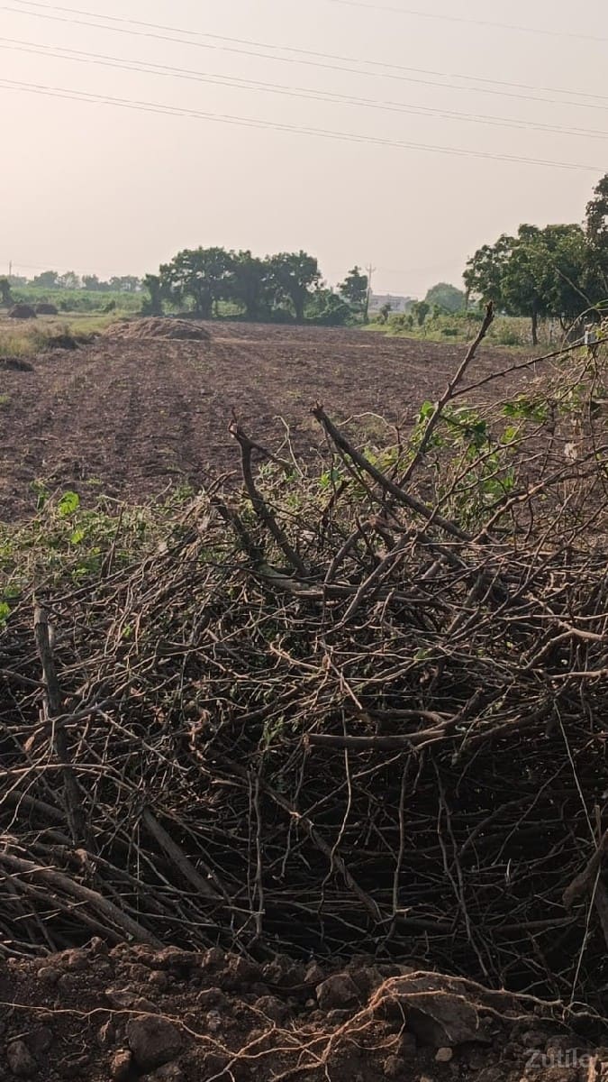 મારે જમીન લેવાની છે. - Land & Plots - Jamjodhpur - Image 1