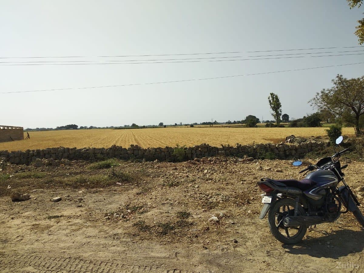 જમીન ભાડે આપવાની છે હાઇવે ટચ - જમીન અને પ્લોટ - કુટિયાણા - Image 1
