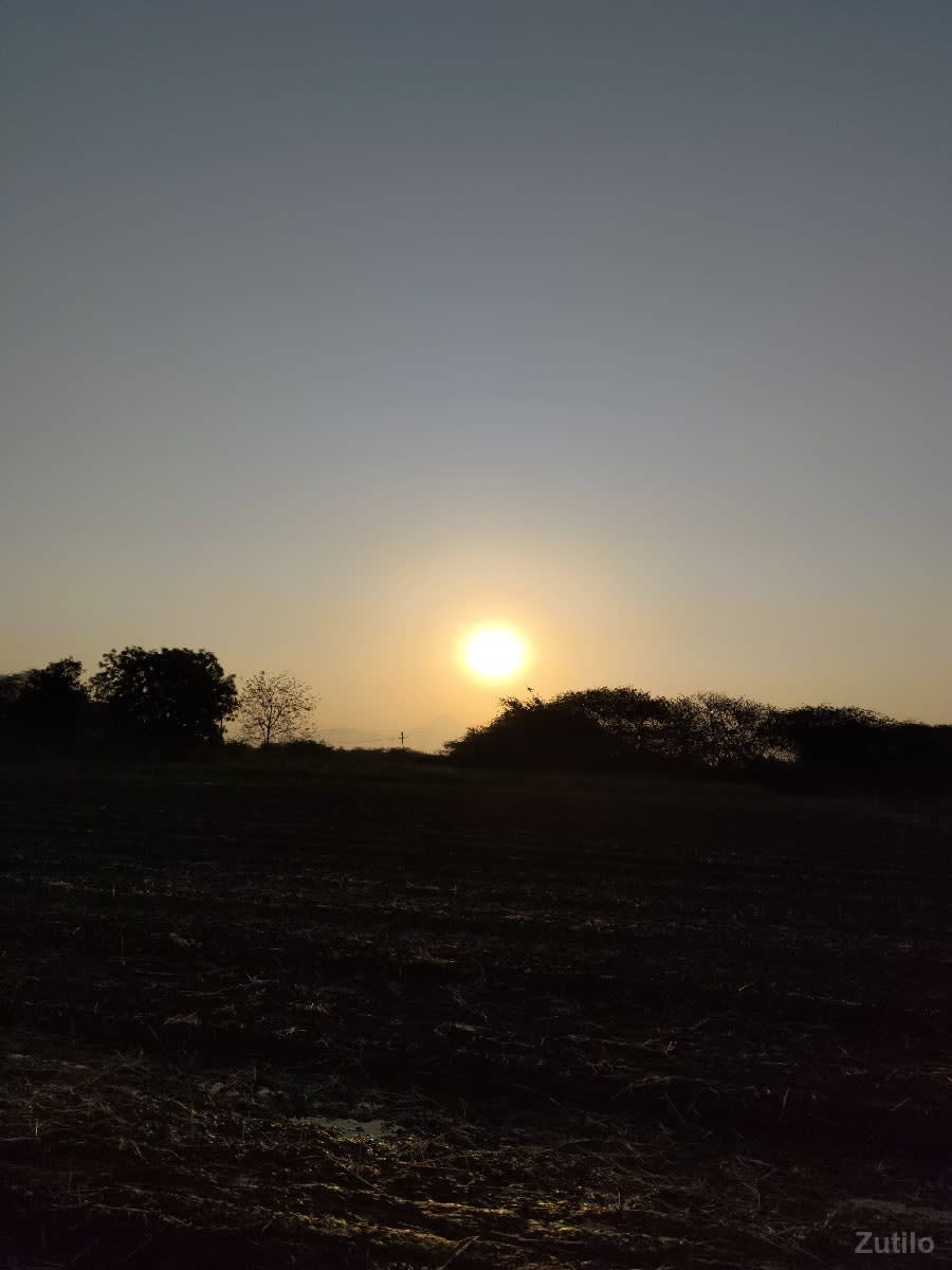જમીન ( વાડી ) વેચવાની છે. - Land & Plots - Una - Image 1