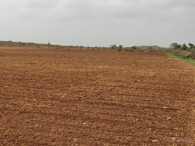 જમીન વેચવાની છે - Land & Plots - Kutiyana - Image 1