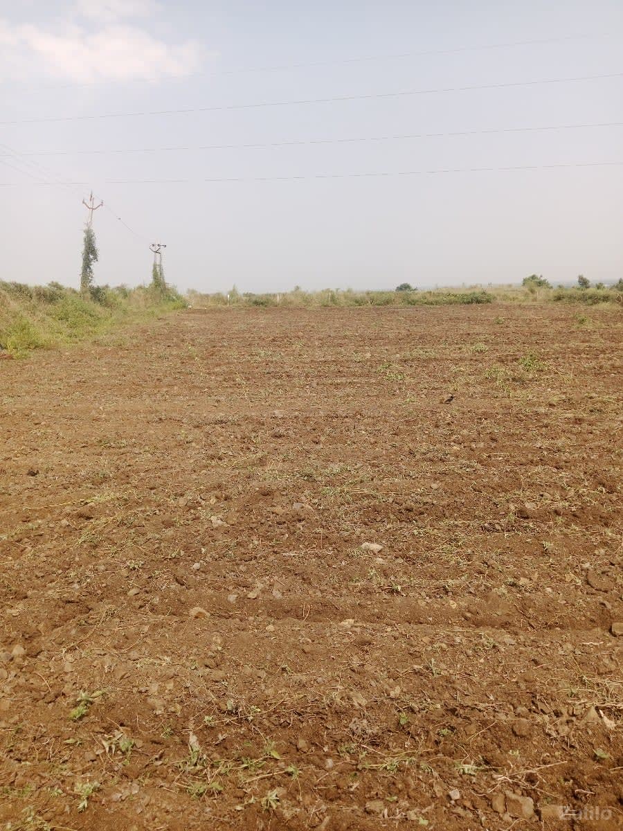 ફૂલ પાણી ત્રણ કિલોમીટર 330 - Land & Plots - Jamjodhpur - Image 3