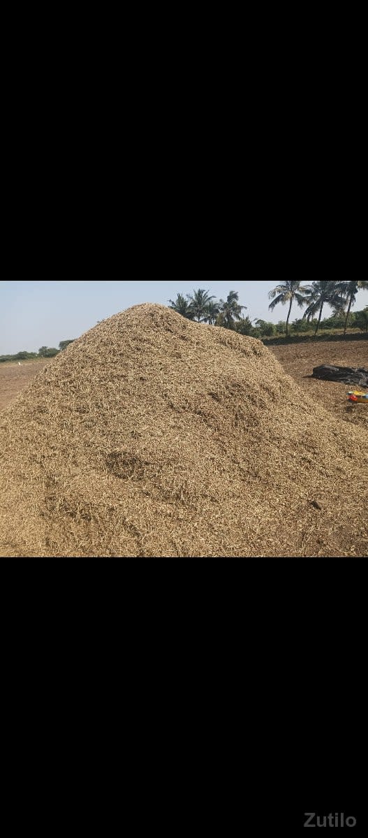 માંડવીયુ વેશવાનું સે - Land & Plots - Somnath - Image 3
