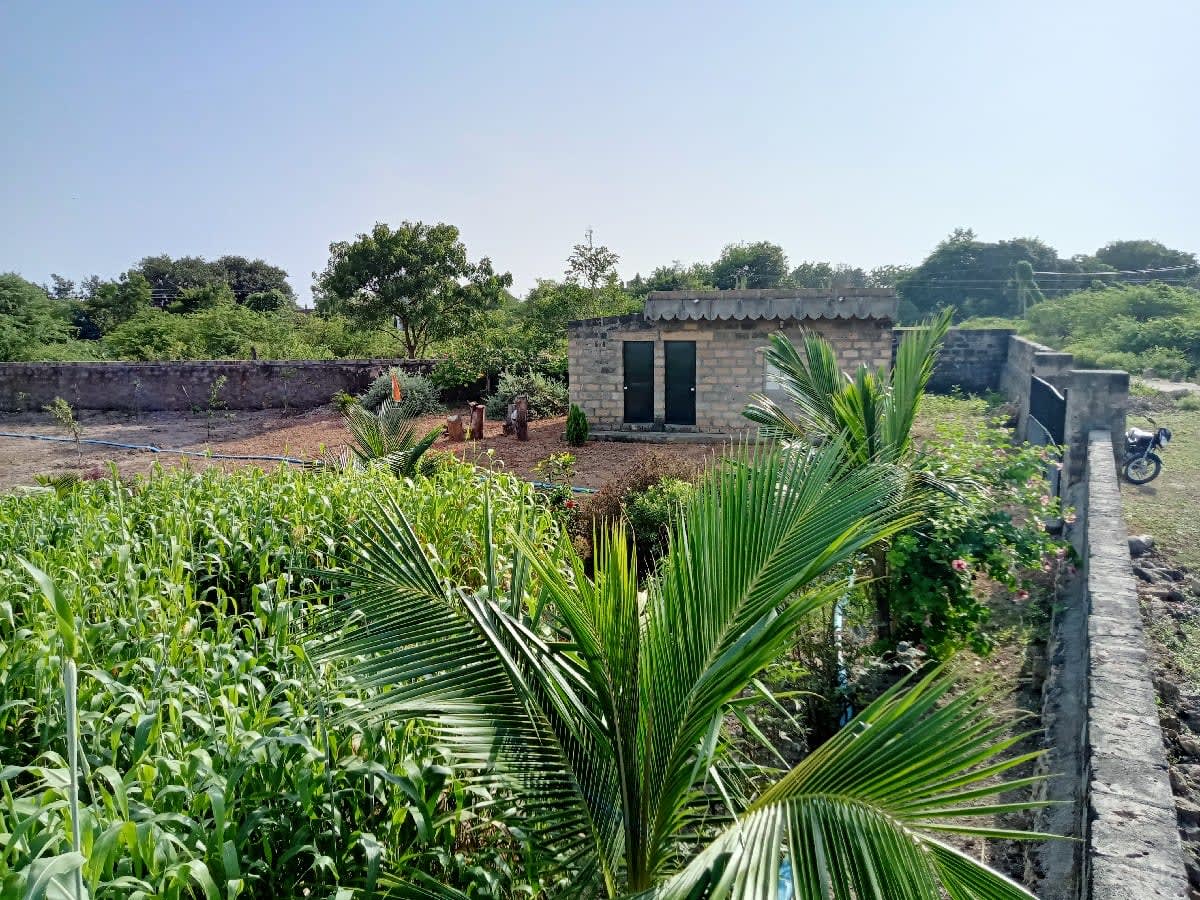 ૧૨ વિઘા રોડ ટચ જમીન વેચવાની છે. - Land & Plots - Ranavav - Image 1