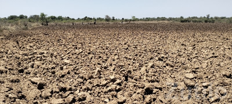 Santalpur Fertile Agricultural Land Sale - Land & Plots - Santalpur - Image 1