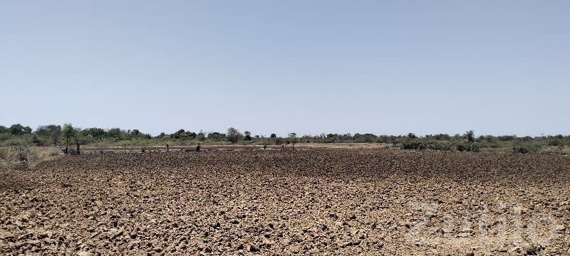 Santalpur Fertile Agricultural Land Sale - Land & Plots - Santalpur - Image 3