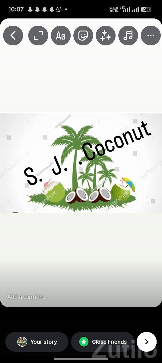 High Yield Coconut Farm Land Mangrol - જમીન અને પ્લોટ - માંગ્રોળ - Image 3