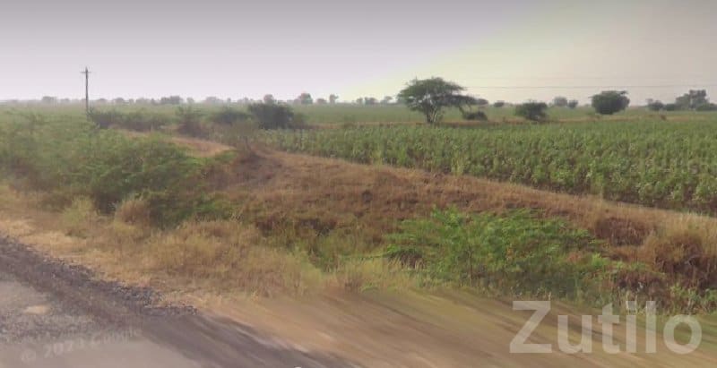 Savarkundla Roadside Farmland Plot for Sale - Land & Plots - Savarkundla - Image 1