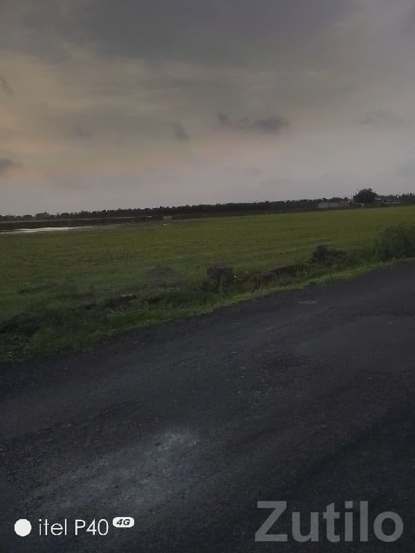 Road Touch Green Land Plot Ranavav - જમીન અને પ્લોટ - રણાવાવ - Image 1