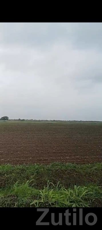 Road Touch Agriculture Land Savarkundla - Land & Plots - Savarkundla - Image 2