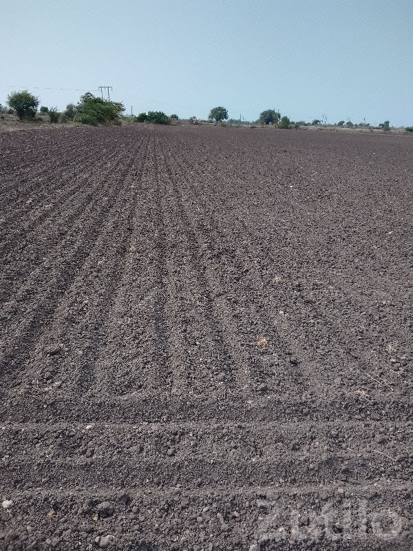 Fertile Agricultural Land Plot for Sale - Land & Plots - Manavadar - Image 1