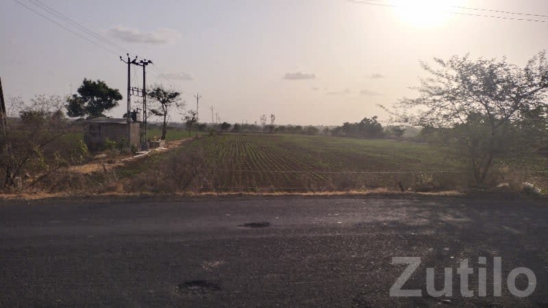 10 Vigha Road Touch Farmland Talala - Land & Plots - Talala - Image 1