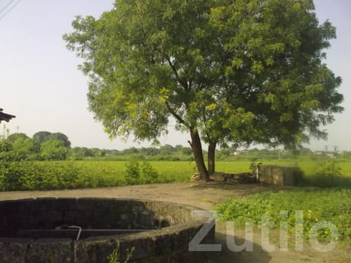 Fertile 25 Bigha Farm Land with Well Water - જમીન અને પ્લોટ - તલાલા - Image 1