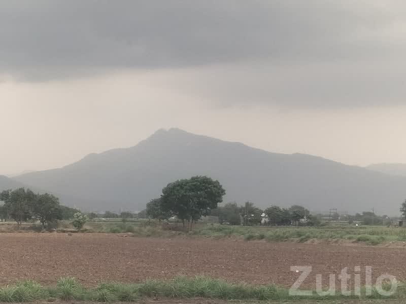 Talala Agriculture Land with Mountain View - જમીન અને પ્લોટ - તલાલા - Image 2
