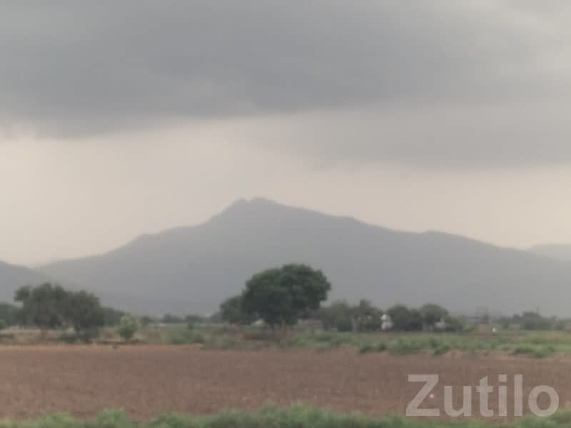 Talala Agriculture Land with Mountain View - જમીન અને પ્લોટ - તલાલા - Image 3