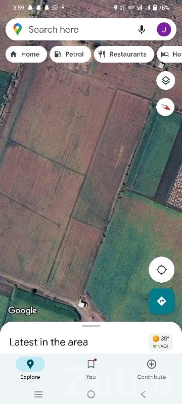 3 Vigha Agricultural Land in Talala - જમીન અને પ્લોટ - તલાલા - Image 2