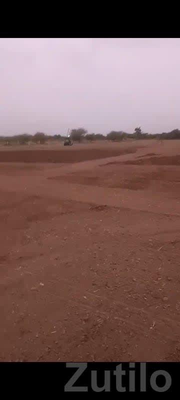 10.5 Vigha Fertile Farm Land with Water - જમીન અને પ્લોટ - તલાલા - Image 3