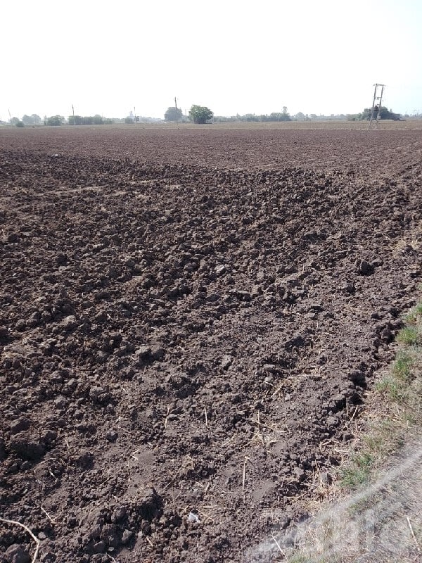 41 Bigha Fertile Agricultural Land Sale - Land & Plots - Kutiyana - Image 1