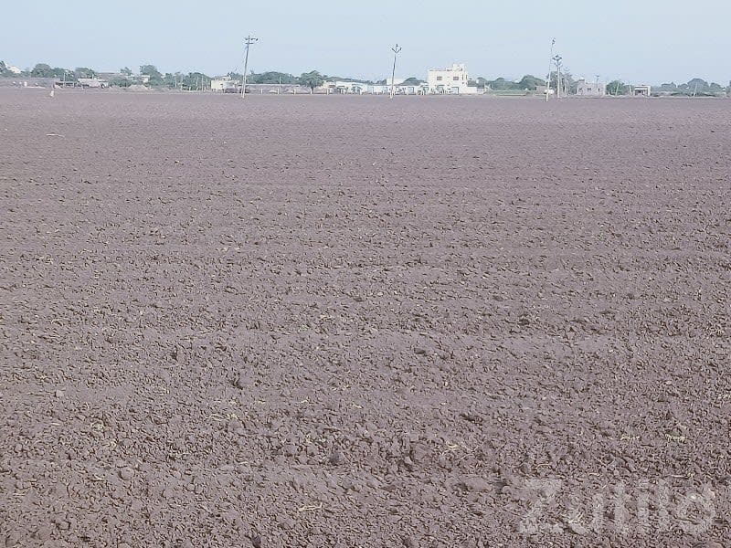 Fertile Open Land Plot in Kutiyana - Land & Plots - Kutiyana - Image 1
