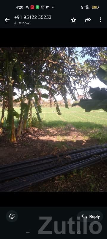 Mango Orchard Farmland Plot for Sale - જમીન અને પ્લોટ - વિસાવદર - Image 1