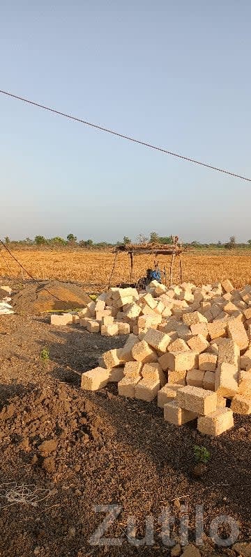 Agricultural Land Plot in Kodinar - Land & Plots - Kodinar - Image 1