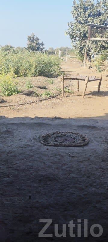 Moti Khodiyar 17 Bigha Farmland Plot - જમીન અને પ્લોટ - મેન્ડરડા - Image 1