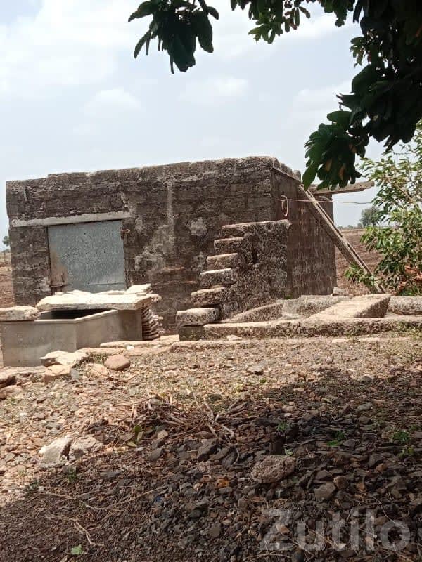 Road Touch Fertile Agricultural Land - Land & Plots - Dhoraji - Image 1