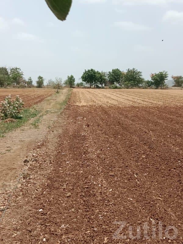 Road Touch Fertile Agricultural Land - Land & Plots - Dhoraji - Image 2