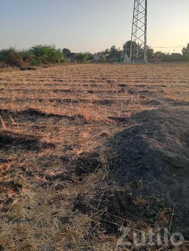 Navada Residential Land Plot Talala - જમીન અને પ્લોટ - તલાલા - Image 1