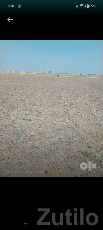5 Vigha Agricultural Land Kutiyana - Land & Plots - Kutiyana - Image 2
