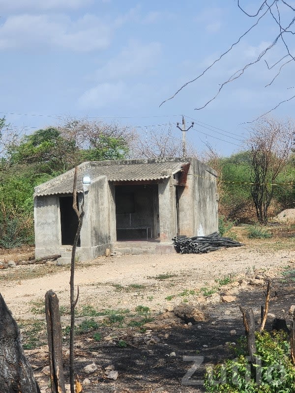 12 Vigha Irrigated Farmland Plot - Land & Plots - Dhoraji - Image 3