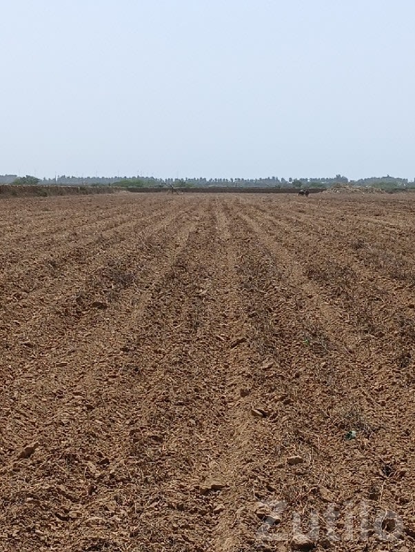 Fertile Agricultural Land Wanted - Land & Plots - Jamjodhpur - Image 1