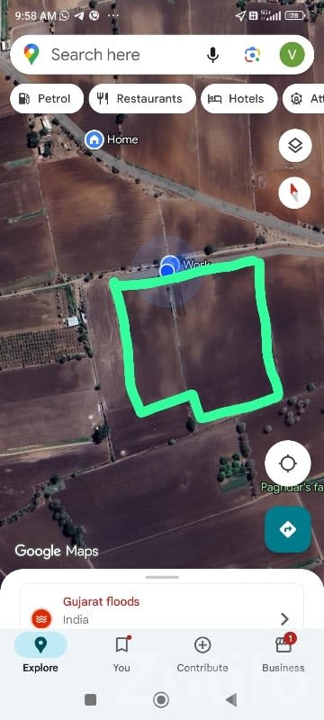 Agricultural Land Plot in Mendarda - જમીન અને પ્લોટ - મેન્ડરડા - Image 1